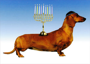 Musings on Hanukkah