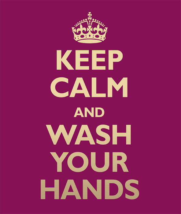 New Seder Rules during the Corona Virus Beames Designs